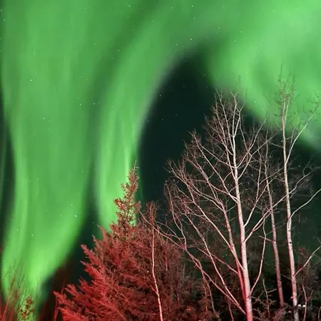 Luxury Northern Light Oasis Fairbanks Exterior photo